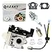 QAZAKY Carburetor with Fuel Filter Maintenance Kit Spark Plug for Zama RB-K92 RB-K92A Echo Shindaiwa HCR-161ES HRC-171ES HC152 DH232 DH235 HT232 Hedge Trimmer A021001671 A021001672 A021001673 Carb primary