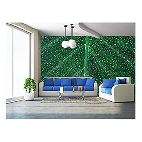Beautiful Green Leaf with Shiny Drops - Removable Wall Mural | Self-Adhesive Large Wallpaper - 66x96 inches