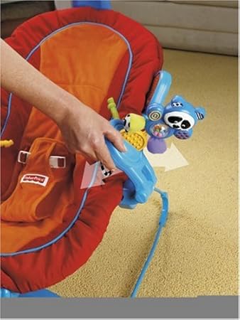 fisher price sensory selections bouncer