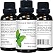 Natural Riches Aromatherapy Essential Oil Kit - Therapeutic Grade - Peppermint Essential Oil, Lavender Essential Oil & Tea Tree Essential Oil - Pack of 3-1 fl oz Each