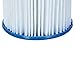 Coleman Inflatable Spa Filter Pump Replacement Cartridge Type VI 90352 (2 Pack)