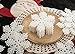 iPEGTOP 24 pcs Plastic Shinny Glitter Christmas Snowflake Ornaments Set for Craft DIY Party Home Holiday Decoration, 4 inch (White)