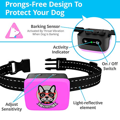 pet inner shock collar