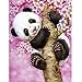 MXJSUA DIY 5D Diamond Painting Panda by Number Kits for Adults, Panda Diamond Painting Kits Round Drill Diamond Art Kits Picture Arts Craft for Home Wall Art Decor 12x16 inch