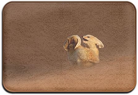 Baerg Door Mat Desert Fox Non-slip Stain Fade Resistant Soft Living Dining Room Rug For Front Door Entrance Outside Doormat 23.615.70.39Inch