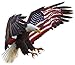 American Eagle American Flag 12