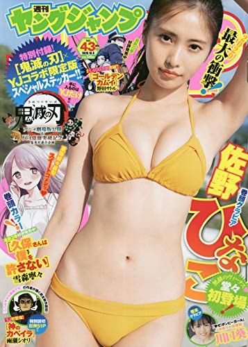 バックナンバー 表紙画像 5