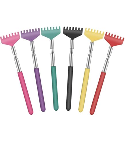 Anneome Gratte-dos Et Chausse-pied à Double Extrémité Outil De Grattage Du Dos Pratique Avec Longue Griffe De Grattage Pour Soulager Les Démangeaisons Du Corps