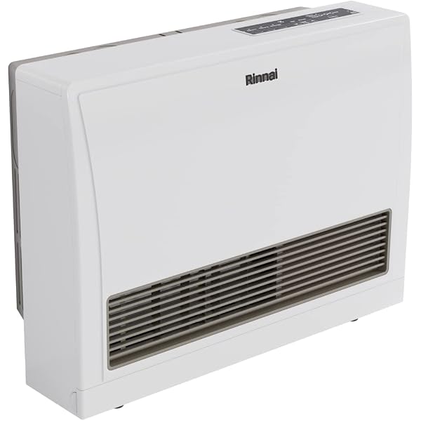 Rinnai EX22CTN Space Heater Wall Furnace, Direct Vent, Natural Gas (21.5K  BTU) - Amazon.com