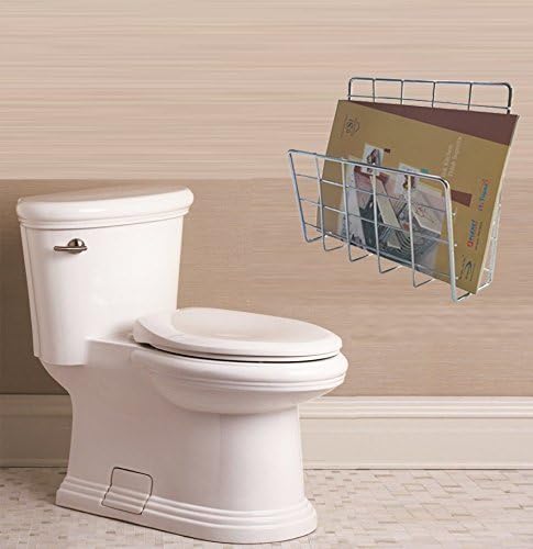 Aloxe Stainless Steel Bathroom Magazine & News Paper Holder/Rack