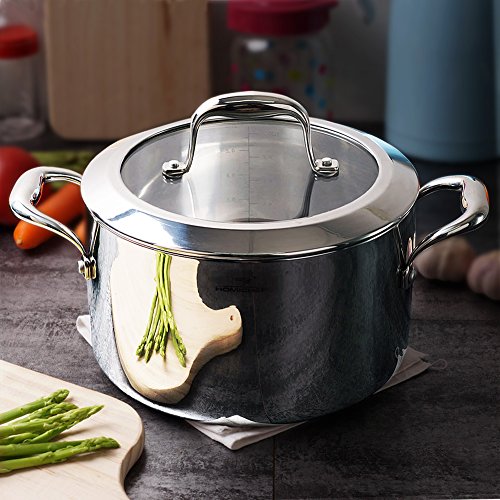 HOMI CHEF Mirror Polished Nickel Free Stainless Steel 6 QT Stock Pot