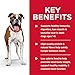 Hill's Science Diet Light, Adult 1-6, Weight Management Support, Wet Dog Food, Liver Loaf, 13 oz Can, Case of 12