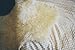 A-STAR Sheepskin Fur Rug Single Pelt 2x3 - Sheep Skin Area Rug (Ivory White)