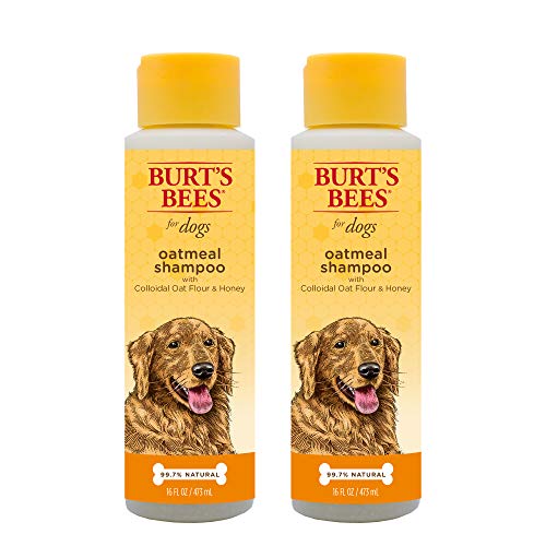 Best AllNatural Dog Shampoos of 2019 Ratings & Reviews