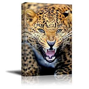 Angry Leopard Wild Animal Beast Photograph Wall Decor