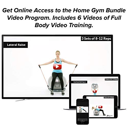 Home Gym Bundle Exercise Ball Chair Yoga Fitness Pilates Balance Ball