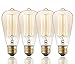 Rolay 4 Pack, 25 Watt Vintage Edison Light Bulb with Squirrel Cage Filament, 110~130 Volts, E26 Base