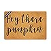 Ruiyida Hey There Pumpkin Doormat Custom Home Living Decor Housewares Rugs and Mats State Indoor Gift Ideas 23.6 by 15.7 Inch Machine Washable Fabric Top (One Pack)