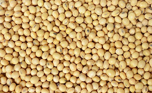 Hunza Organic Soybeans (2 lbs) - Thumbnail 7