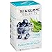 Bigelow Tea Benefits Radiate Beauty Blueberry and Aloe Herbal Teabags Box, Caffeine Free, 18 Count, Pack of 6