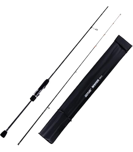 Daiwa (DAIWA) Bus Rod Spinning B.B.B. 6106TMLFS Bass Fishing
