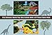 51 Pcs Dinosaur Toys Playset With Fabric Play Mat - 20 Educational Realistic Dinosaurs Toys + 29 Trees With Rocks To Create A Dinosaur World Including T-Rex, Triceratops, Velociraptor, Spinosaurus etc