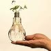 Stand Light Bulb Shape Glass Vase Flower Plant Container Pot Home Garden Decoration