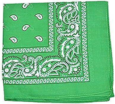 Pack of 10 Daily Basic 100% Polyester 22 x 22 Paisley Printed Bandanas