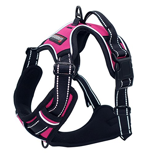 No Pull Pet Harness Front Range Dog Harness Adjustable Outdoor Pet Vest 3M Reflective Oxford