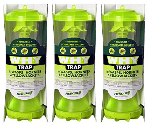 Rescue WHYTR WHY Trap For Wasps/Hornets/Yellow Jackets (3 TRAPS)