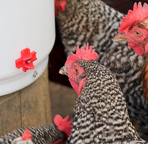 Farm Innovators HB-60P Heated 2 Gallon Poultry Drinker | Pricepulse