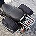 Amazon Basics Motorcycle Saddle Bags