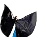 Pilot-trade Women's Egyptian Egypt Belly Dance Costume, Black, Size One Size
