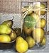 A&B Home Artificial Boxed Pears, 5.5 by 8.3-Inch