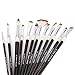 Fabart 12 Piece Artist Paint Brush Set - Round, Flat, Comb, Dagger, Deerfoot, Angular, Filbert, Rake