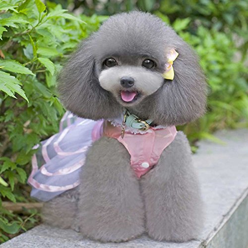 Pet Dog Puppy Tutu Princess Dress Stripe Bow Lace Skirt Clothes Pet Apparel Dog Rabbit Pig Small Dogs Costumes Pig Sweatshirt Dog Outfits Dogs Shirts Puppy Sweater Pet Coats (Pink, L) - Thumbnail 3