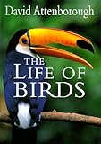 The Life of Birds
