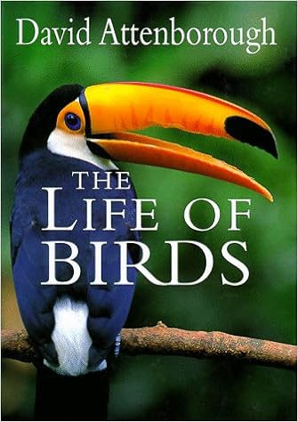 Buy The Life Of Birds Book Online At Low Prices In India The Life Of Birds Reviews Ratings Amazon In