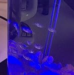 Review Image by rebekah anders