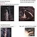 Premier Lace Front Human Hair Wigs Glueless Big Wave Front Lace Wigs Big Deep Natural Wave Lace Front Wigs for Black Women with Baby Hair