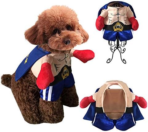 Pichidr Jp 新作アイテム毎日更新 犬コスチューム ハロウィン ペット用の服 ボクシング 二足歩行 面白い コスプレ衣装 犬 クール かわいい 服