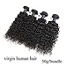 Brazilian Curly Human Hair 10A Unprocessed Curly Hair Wig Short Bob Curly Hair Lace Front Free Part Wig