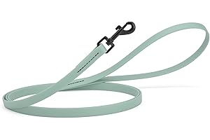 Dogline Biothane Waterproof Dog Leash Strong Coated Nylon Webbing with Black Hardware Odor-Proof Easy to Clean High Performance for Small or Large Dogs Made in USA 4 or 6 ft Lead, Sage Green