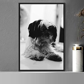 signwin Framed Canvas Wall Art Duotone Pupper Animals...