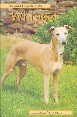 Pet Owner�fs Guide to the Whippet �n�[�h�J�o�[  - 2003/2/1