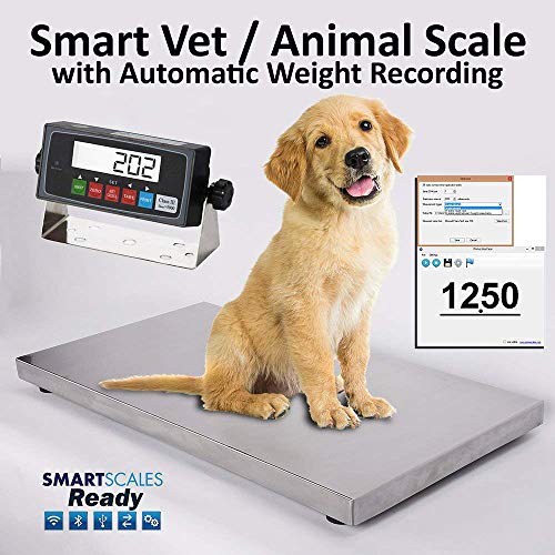 PEC Household Pet Scale, 700lb Digital Vet Animal Scale with Peak Hold Function 18X18 Inch