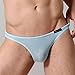 Napoo Men's Underwear Bikini Briefs See Through Boxer Briefs Bulge Pouch Hot Shorts Mens G-String Underpants(Blue,L)
