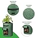 Delxo 5 Pack 7 Gallon Potato Grow Bags Two SidesVelcro Window Vegetable Grow Bags, Double Layer Premium Breathable Nonwoven Cloth for Potato/Plant Container/Aeration Fabric Pots with Handlesthumb 2