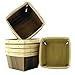 One Quart Wooden Berry Baskets (8-Pack)