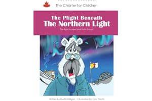 The Plight Beneath The Northern Light: The Right to Meet and Form Groups